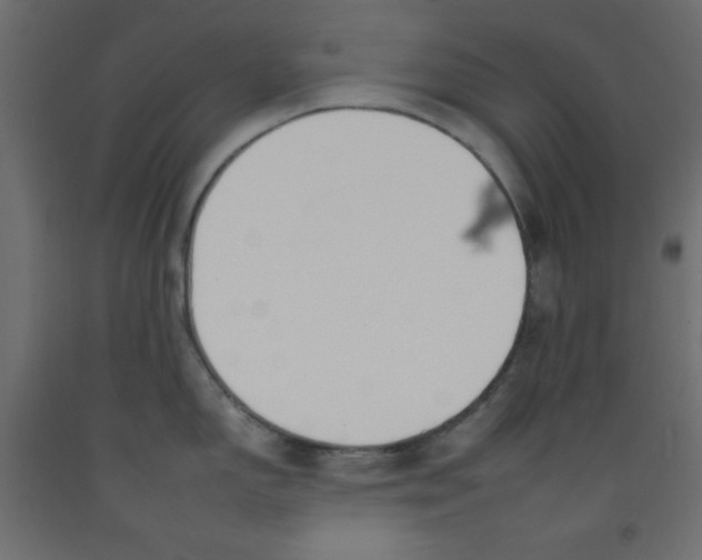 X0000092261150200710121334