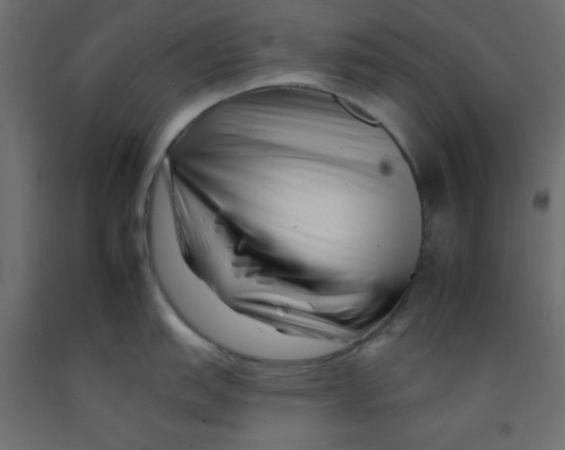 X0000092261151200710121334