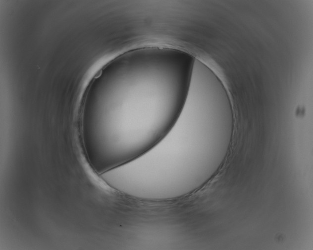 X0000092261152200710121334