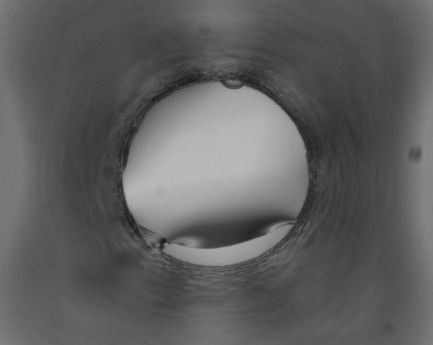 X0000092261153200710121333