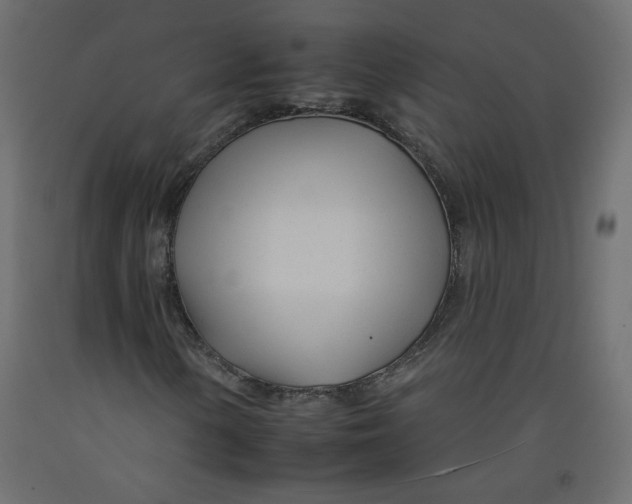 X0000092261154200710121333