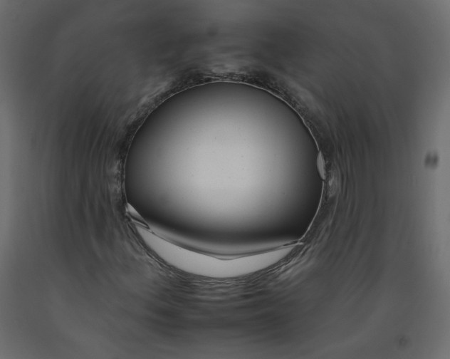 X0000092261156200710121333