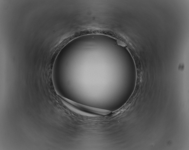 X0000092261157200710121333