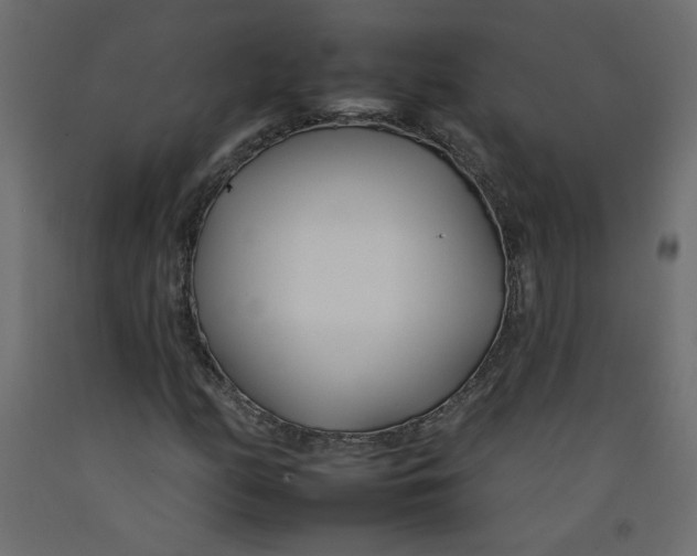 X0000092261158200710121333