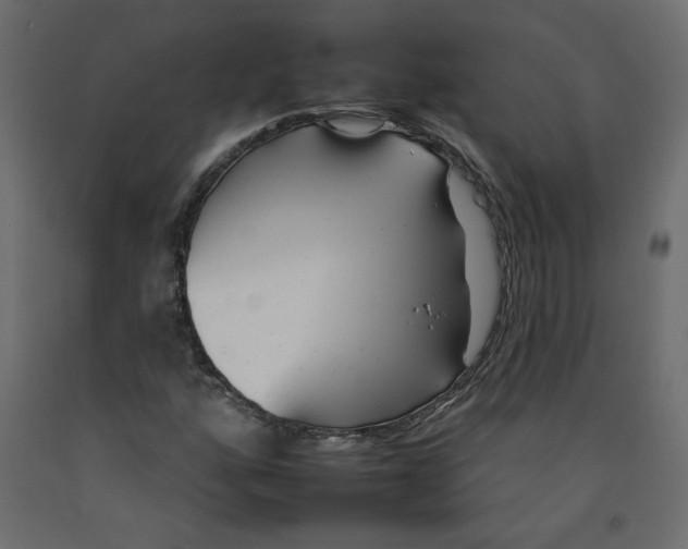 X0000092261160200710121333