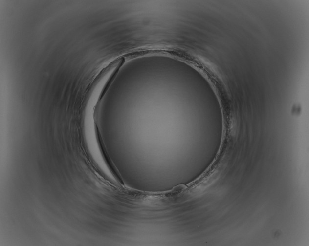 X0000092261161200710121333