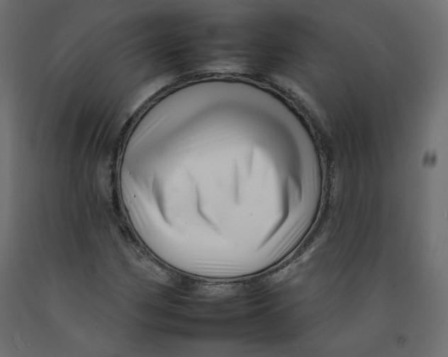 X0000092261162200710121333