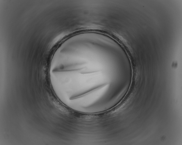 X0000092261163200710121333