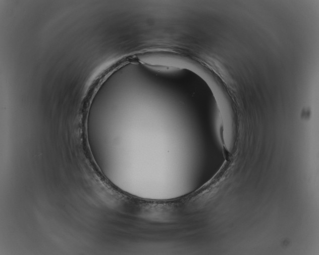 X0000092261164200710121333