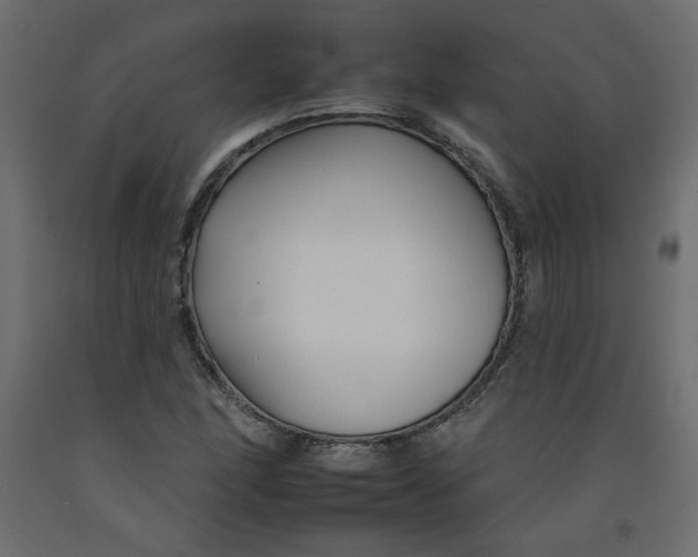 X0000092261166200710121333