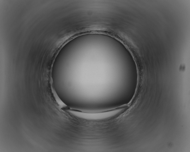 X0000092261169200710121333