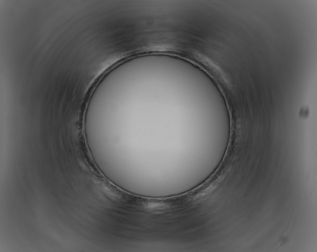 X0000092261170200710121333