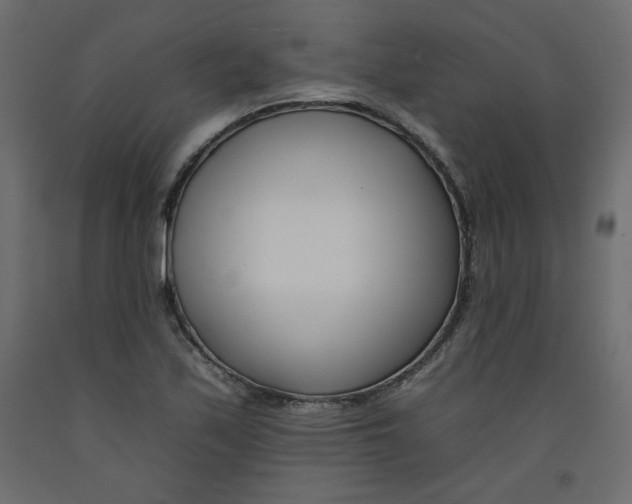 X0000092261171200710121333