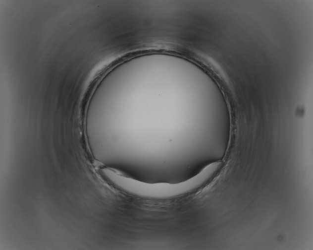 X0000092261172200710121333