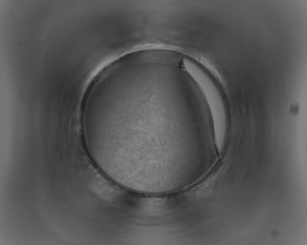 X0000092261173200710121333