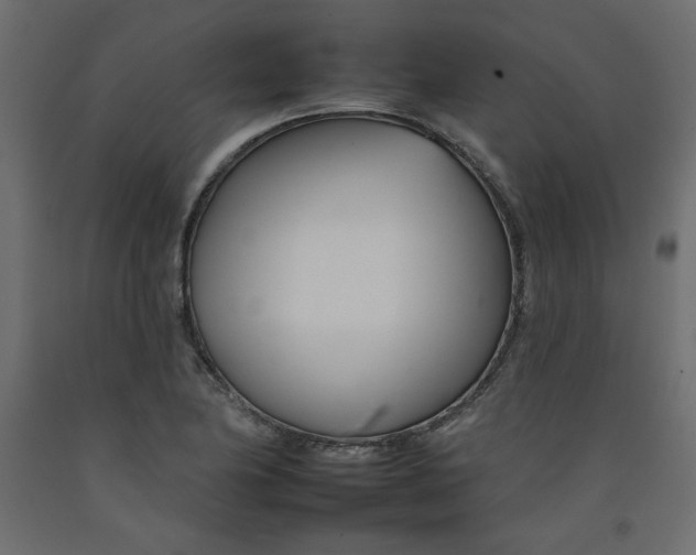 X0000092261174200710121333