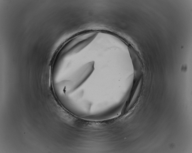 X0000092261175200710121333