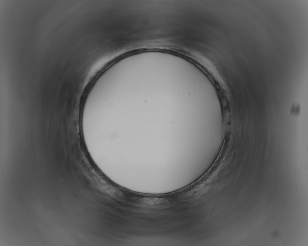 X0000092261176200710121333