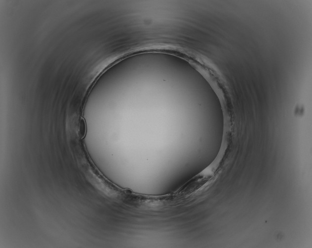 X0000092261177200710121333