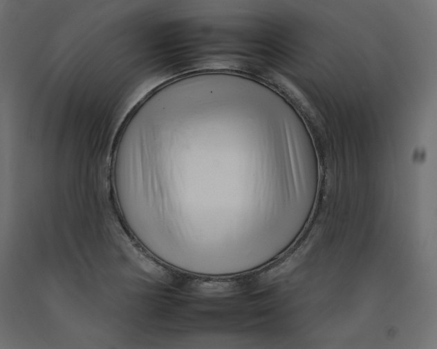 X0000092261178200710121333