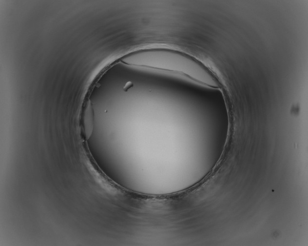 X0000092261181200710121333