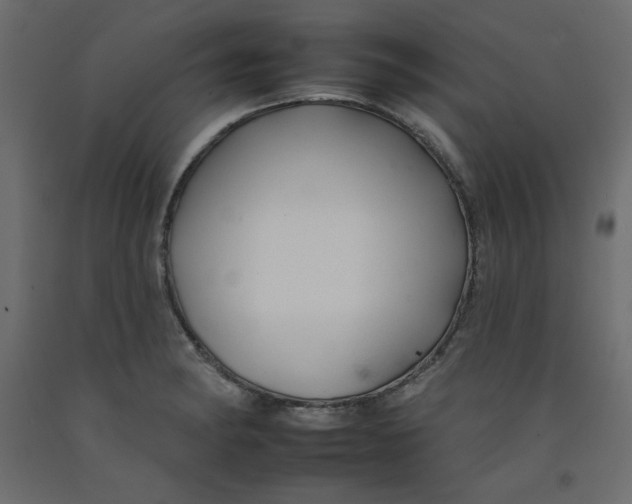 X0000092261182200710121333