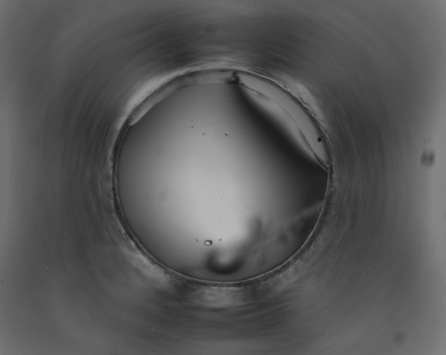 X0000092261184200710121333