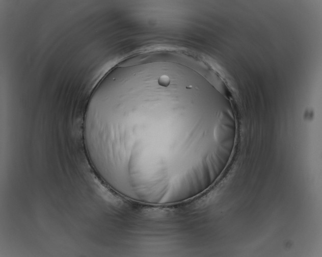 X0000092261185200710121333