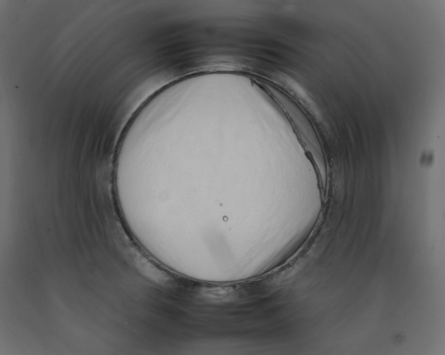 X0000092261186200710121333