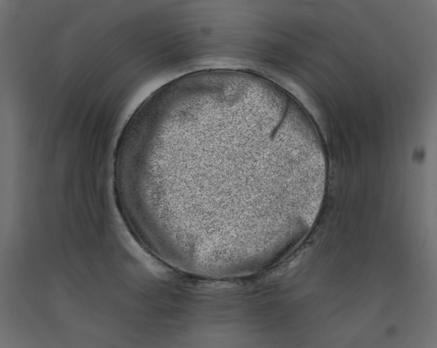 X0000092261187200710121333