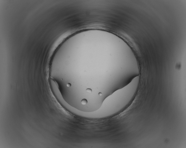 X0000092261188200710121333