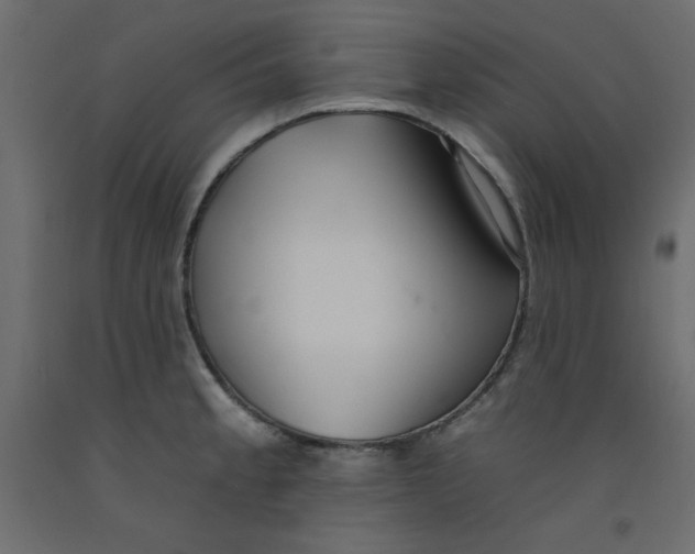 X0000092261189200710121333