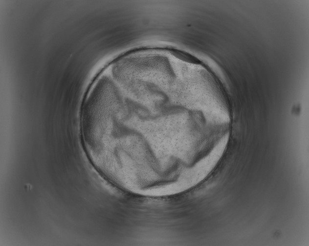 X0000092261191200710121333