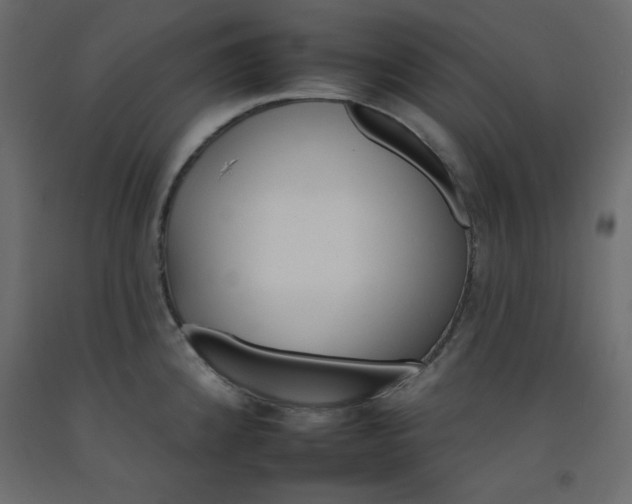 X0000092261192200710121333