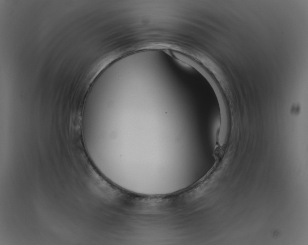 X0000092261193200710121333