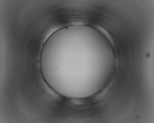 X0000092261194200710121333