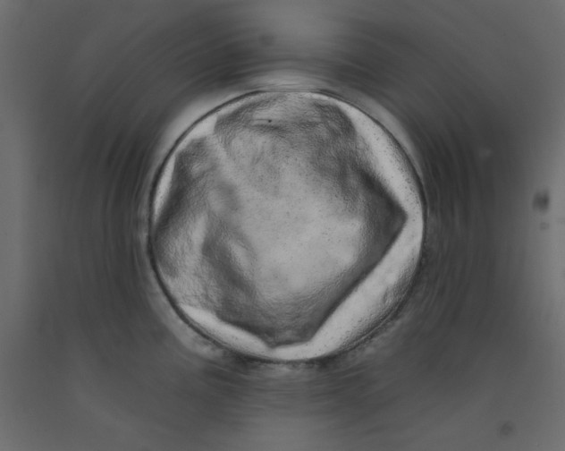 X0000092261195200710121333