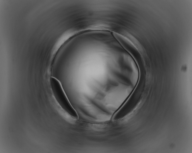 X0000092261196200710121333