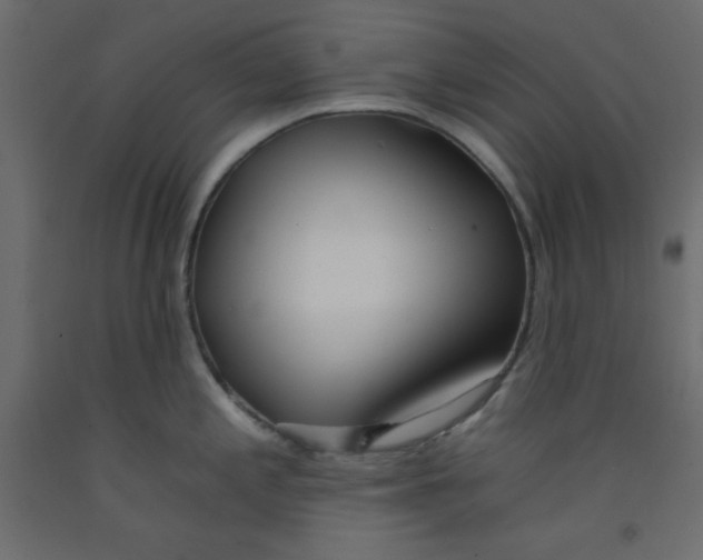 X0000092261197200710121333