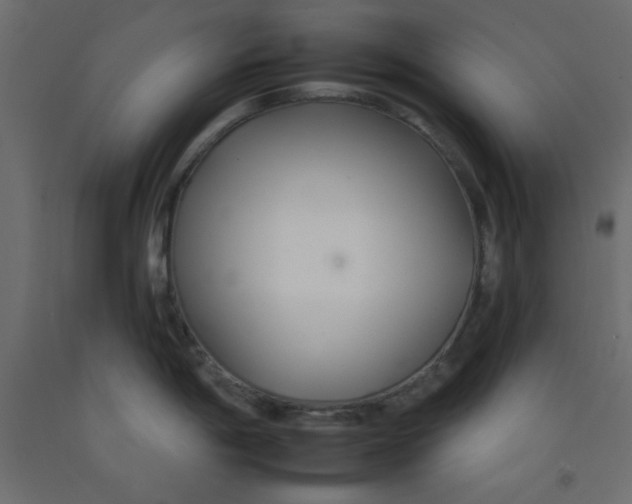 X0000092261198200710121333