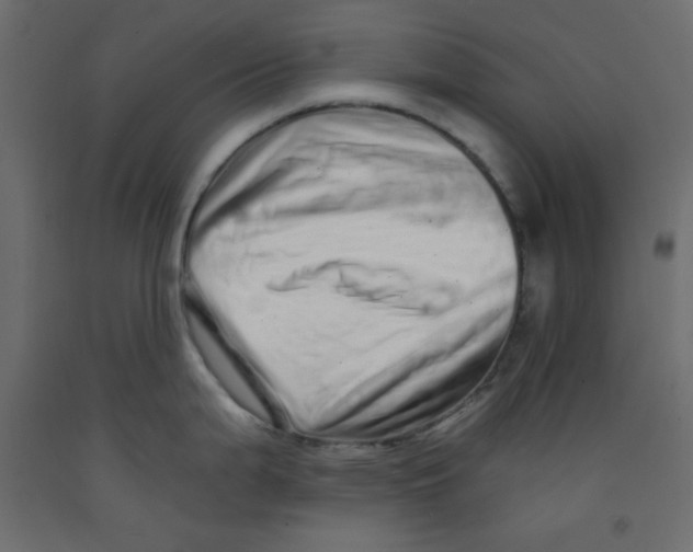 X0000092261199200710121333