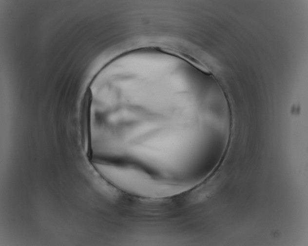 X0000092261200200710121333