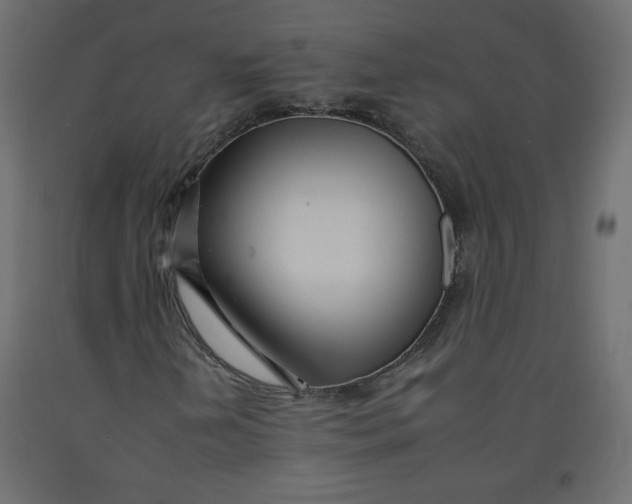 X0000092261202200710121332