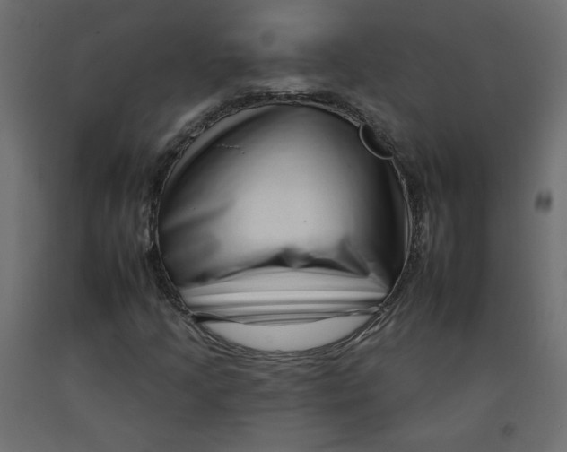 X0000092261205200710121332