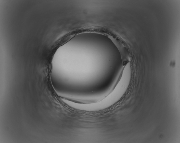 X0000092261206200710121332