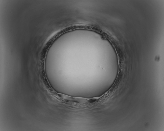 X0000092261208200710121332