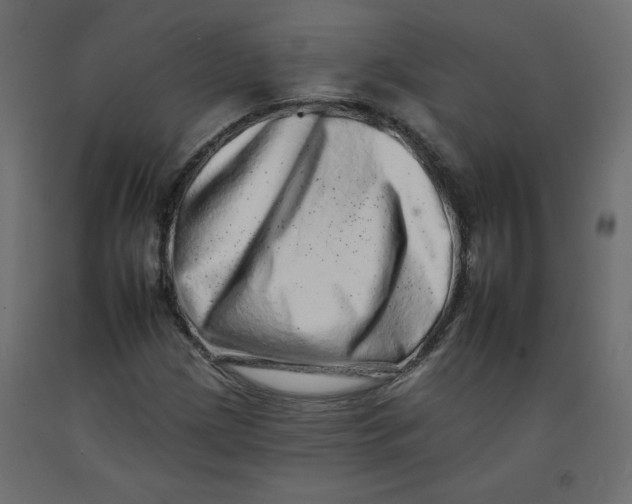 X0000092261209200710121332