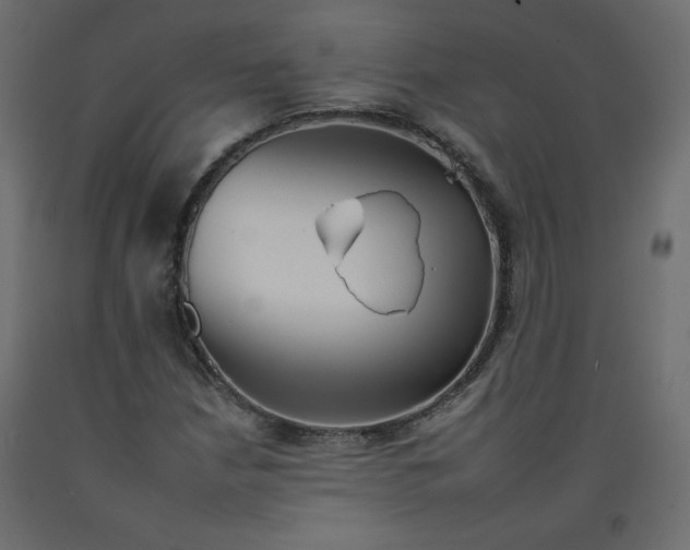 X0000092261210200710121332