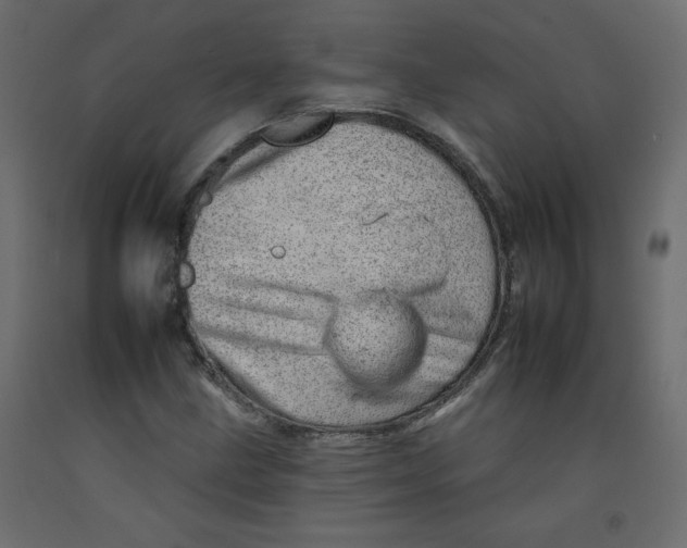 X0000092261211200710121332