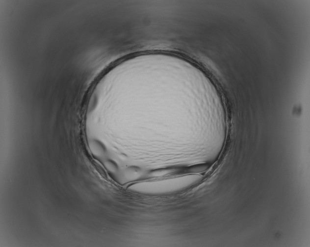 X0000092261212200710121332